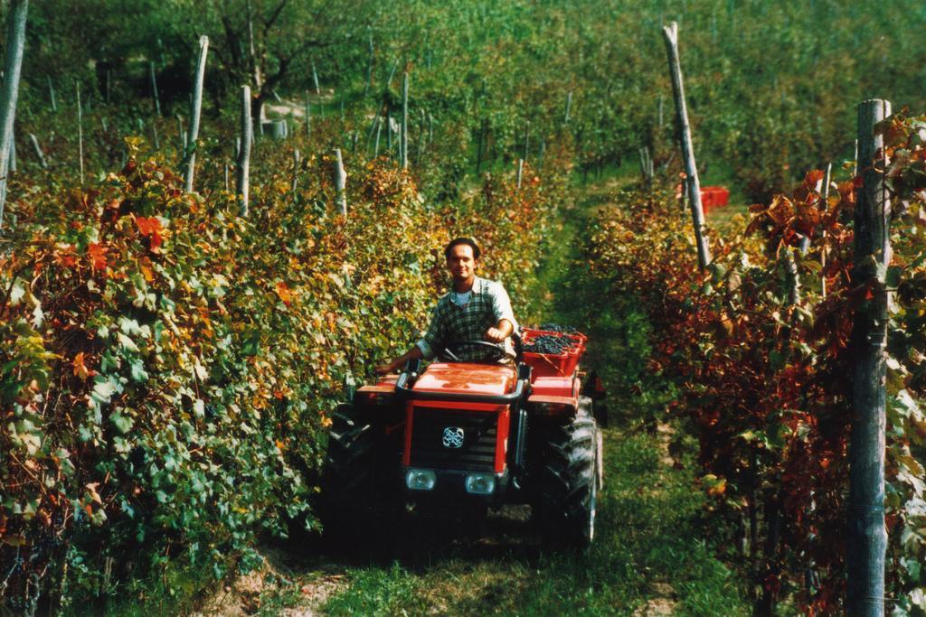 Cascina Rocca Farm stay